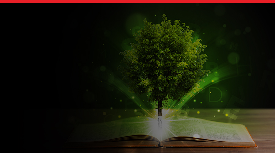 Knowledge Hub